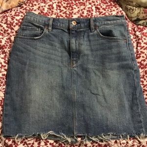 Hudson Jeans Lulu Skirt